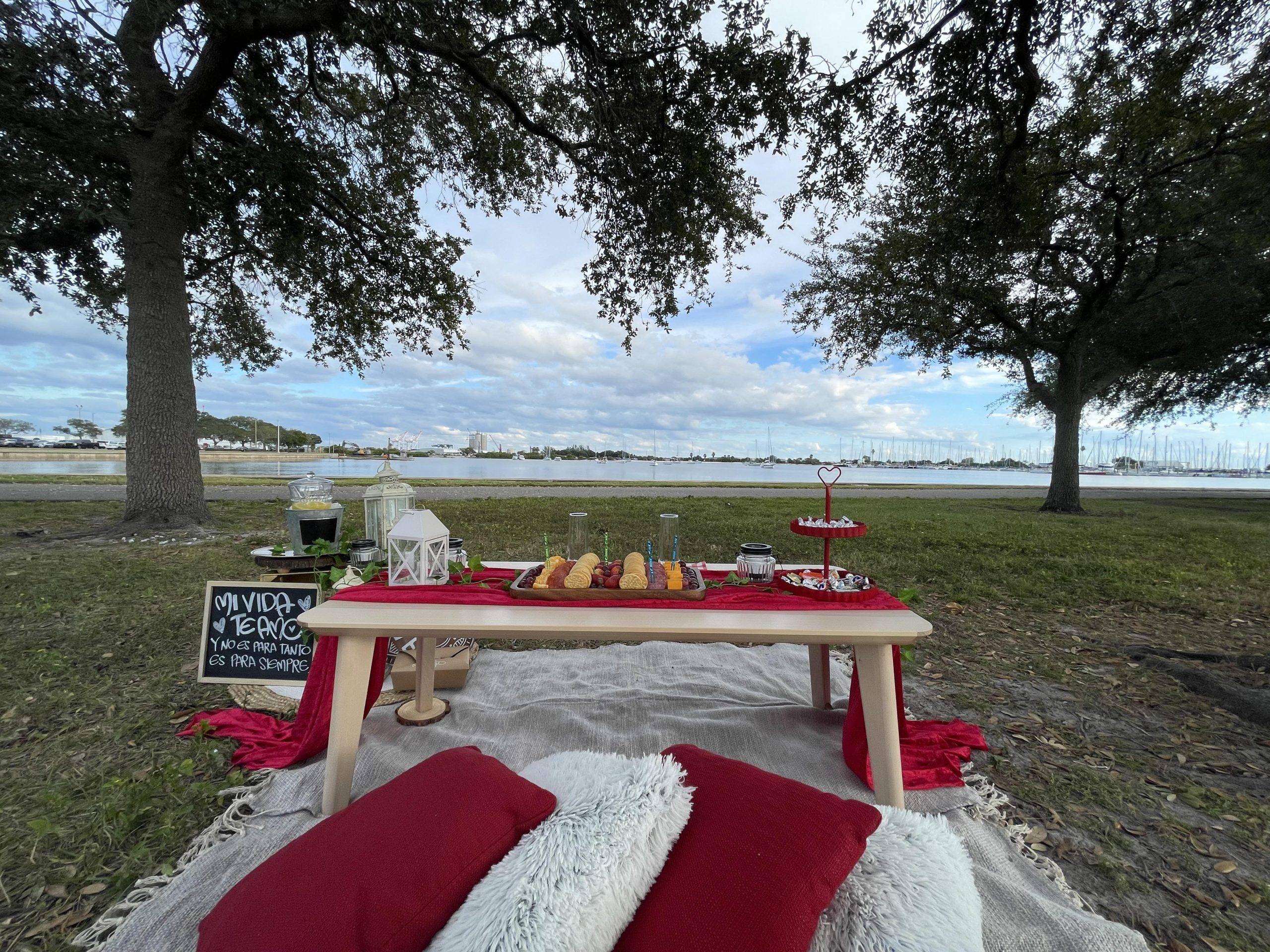 picnic_in_the_park_2