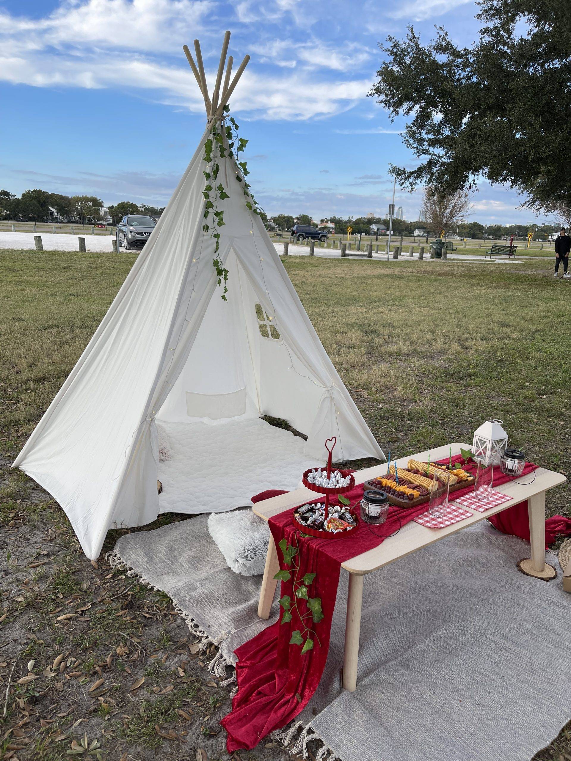 picnic_in_the_park_3