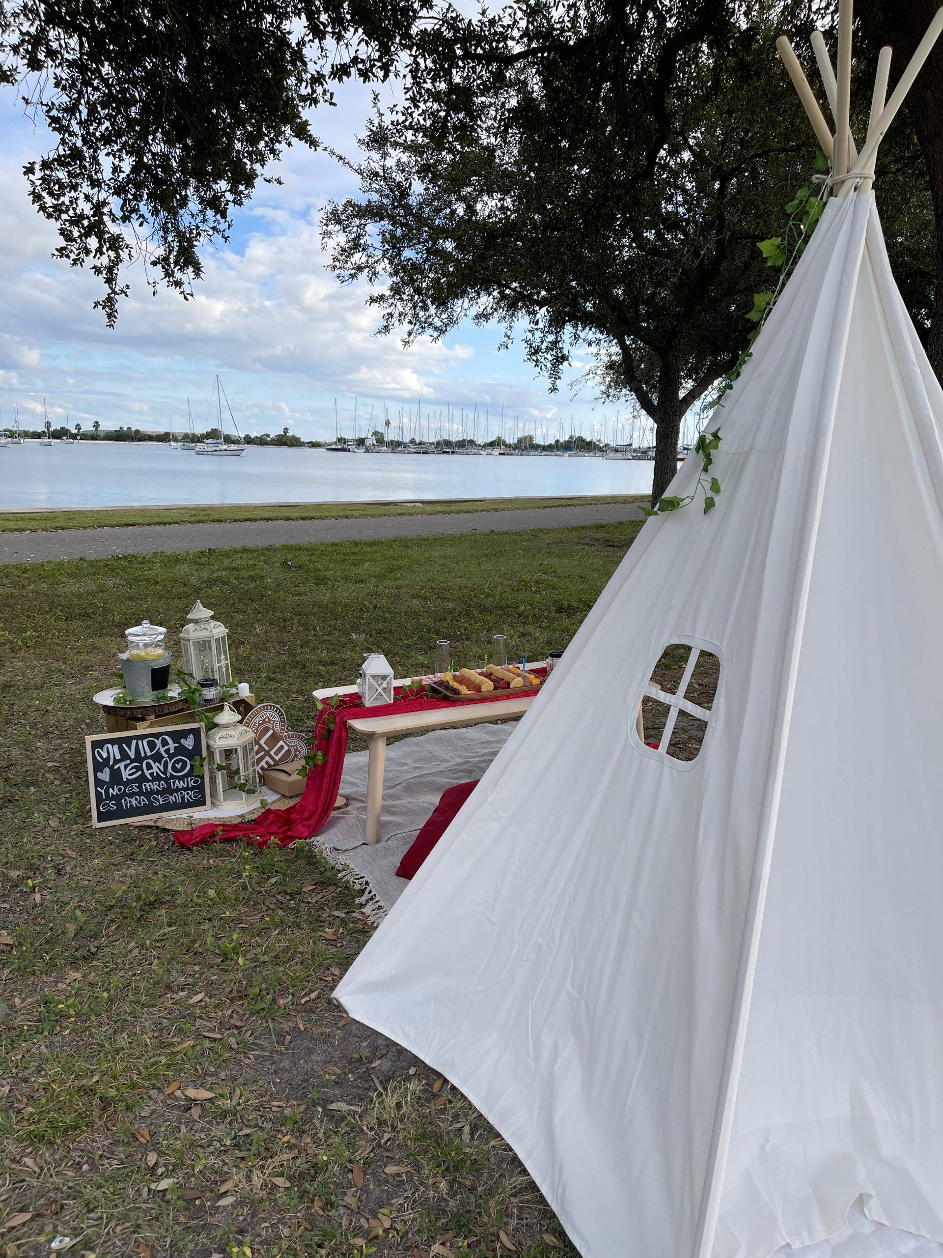 picnic_in_the_park_4